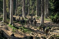 Aftermath of the Pulwama attack in Lethpora, Srinagar, February 14, 2019