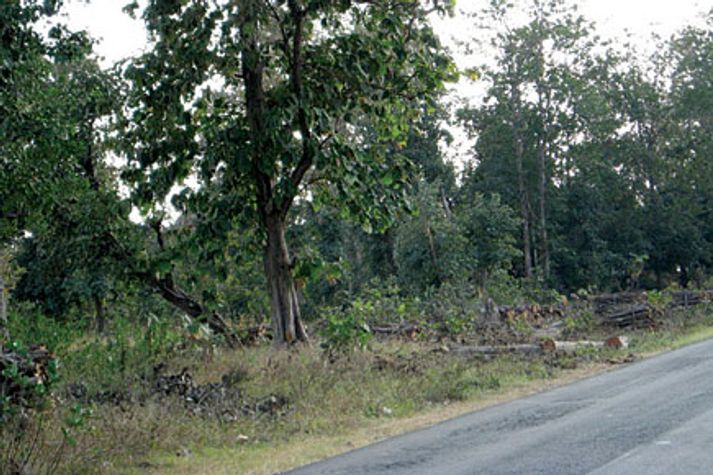 Kanha