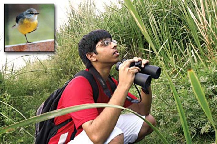 godwit-arindam