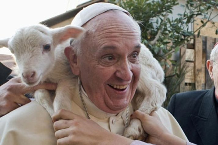 pope-francis-wears-a-sheep