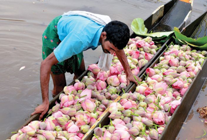 realindia-malapuram