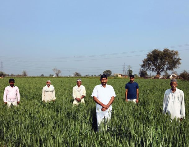 (L-R) Radhey Shyam Yadav, Shiv Narayan Yadav, Govin Ram, Sarpanch Darshan Kumar, Sunil Yadav, Babu Lal Yadav in Balewa village, Haryana