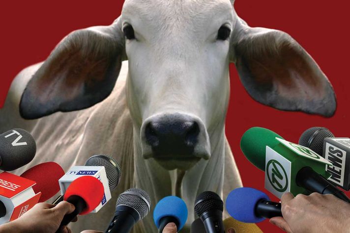 Beef Ban: Is Nothing Sacred?