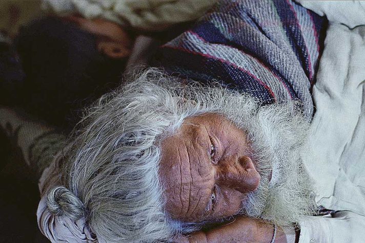 A scene from Gurvinder Singh’s Alms for the Blind Horse