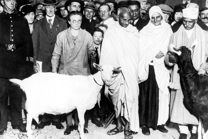 With Mira Behn (on his left) and Madan Mohan Malaviya (in turban) at a dairy show in London, 1931