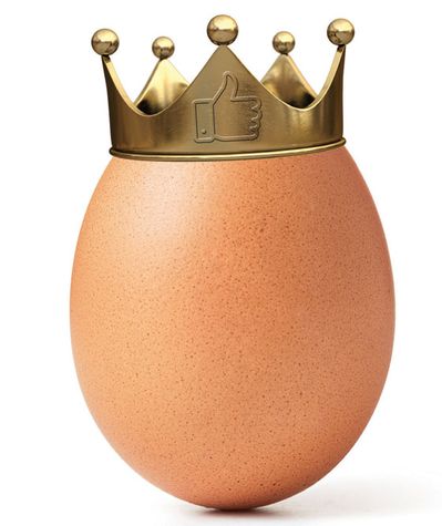 The Egg Came First