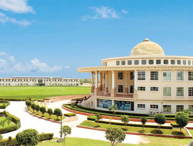 Noida International University