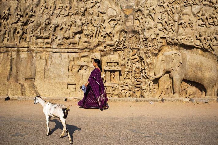 The monumental 7th century Pallava relief sculpture in Mahabalipuram