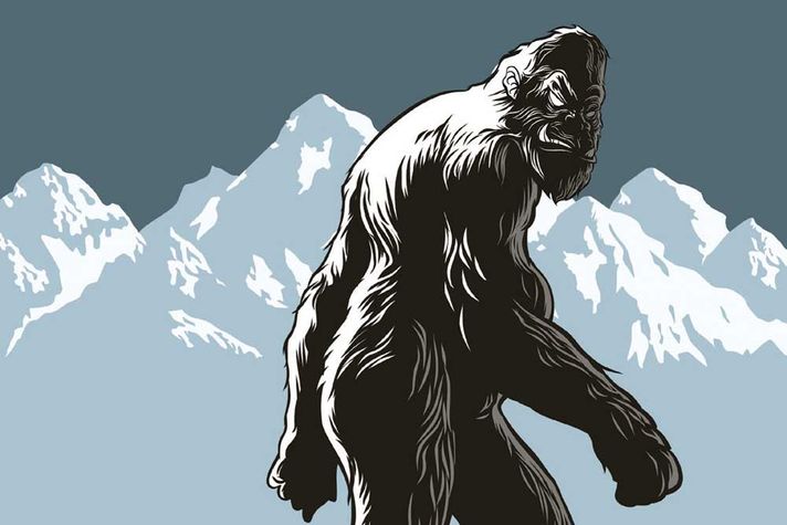 The Yeti: A Beast in Imagination