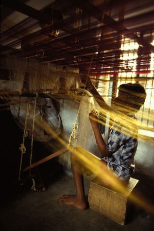 Palm tree Tappers to Sickle Makers