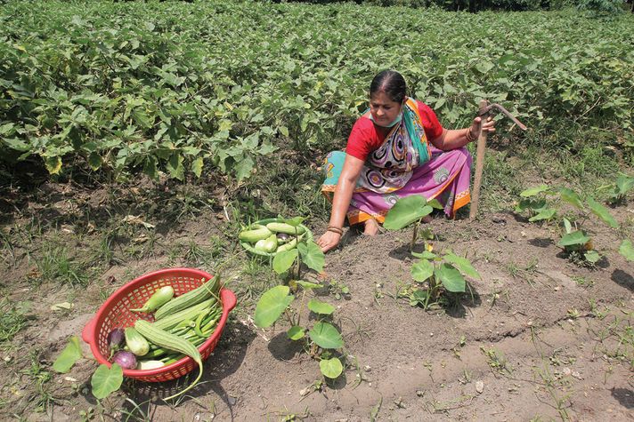 Chhayarani Sahu, 57, Farmer