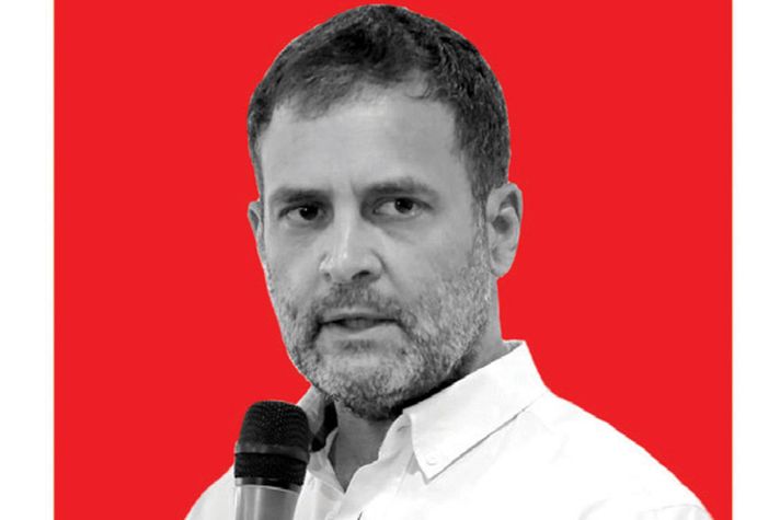 Rahul Dismisses Indian Democracy