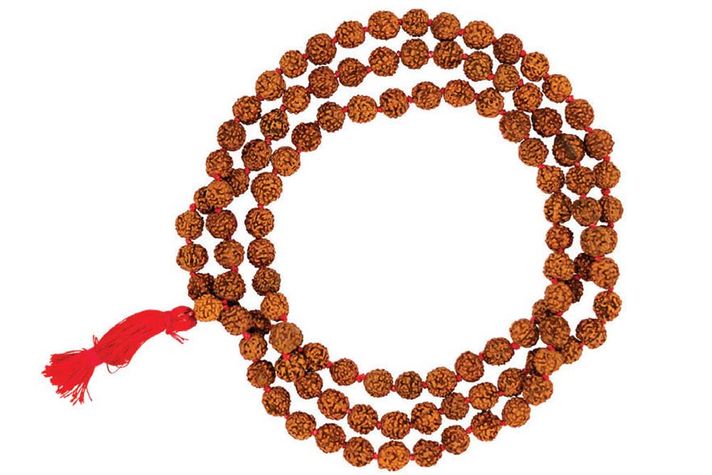 The Power of Rudraksha