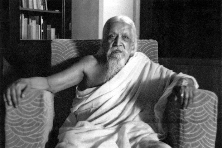 Sri Aurobindo: The Future Human