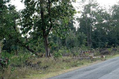 Kanha