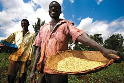 african-farmer