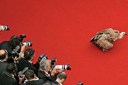 cinema-Cannes