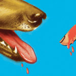 dog-foreigners