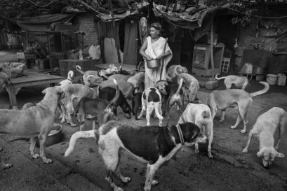 Her Best Friend: A 61-year-old ragpicker, Pratima Devi was married off to an abusive family at the age of  seven. She eventually ran away and has been living in a tin shack near PVR Cinemas in  Saket, Delhi, for the last 30 years. It was here that she found her true calling—looking after  400 stray dogs. She calls them her “adopted children” and adds that they have helped bring  out the best in her. Inspired by her, several neighbours have chipped in and Devi is now able  to give her dogs a daily meal of mi