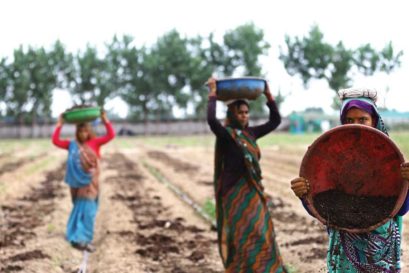 A biodynamic farm in Noida