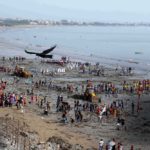 A 2016 clean-up drive at Versova beach in Andheri where volunteers return week after week to collect a never-ending stream of garbage