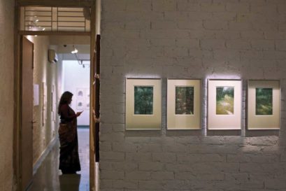 Verdant Memory on display at Delhi’s Gallery Threshold