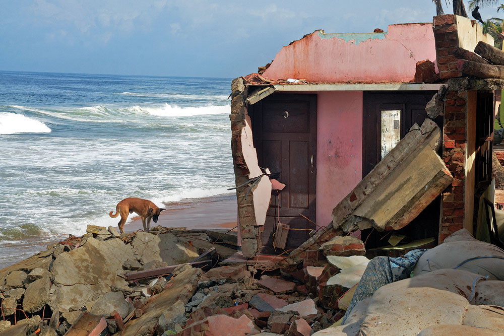 Kerala’s Fishing Community: In Deep Waters 