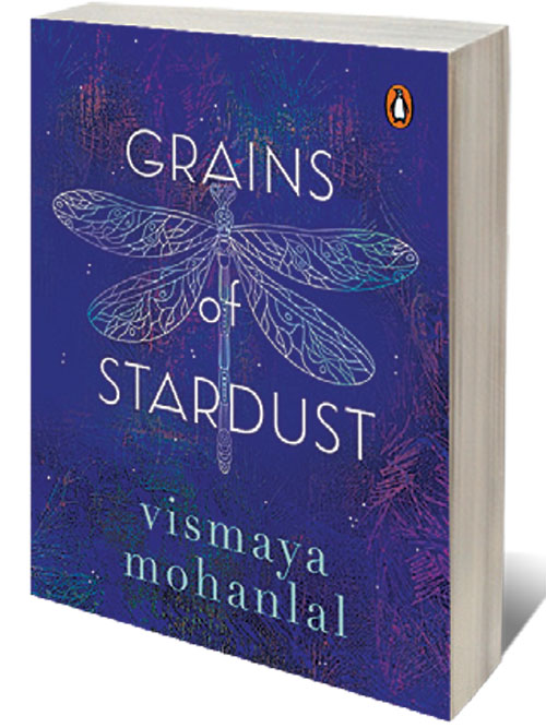 Grains of Stardust