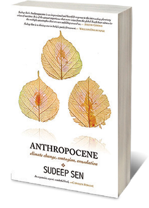 Anthropocene: Climate Change, Contagion, Consolation