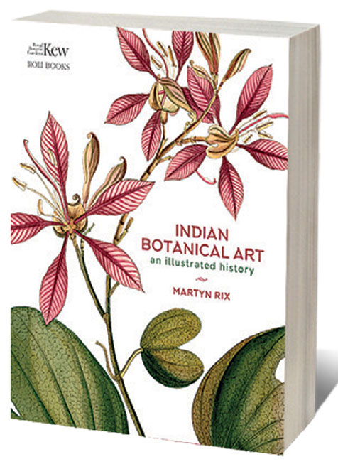 Indian Botanical Art: An Illustrated History  /