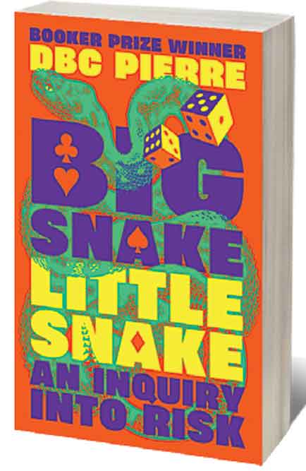 Big Snake, Little Snake: An Inquiry into Risk /