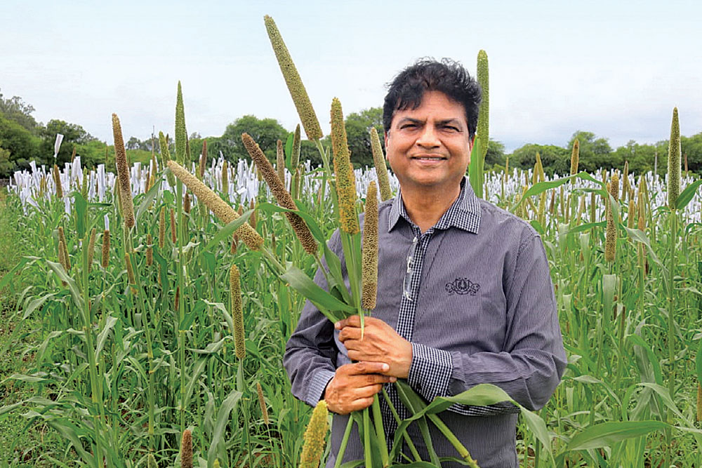 The Millet Momentum