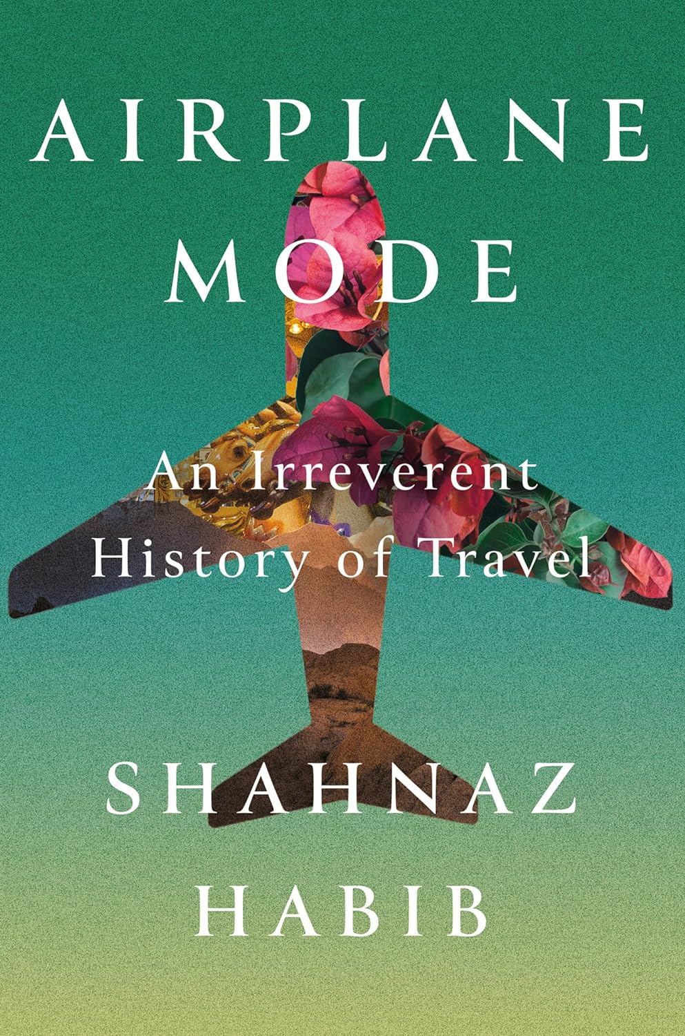 Airplane Mode  A Passive-Aggressive History of Travel