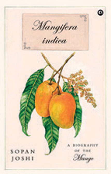 Mangifera Indica: A Biography of the Mango 