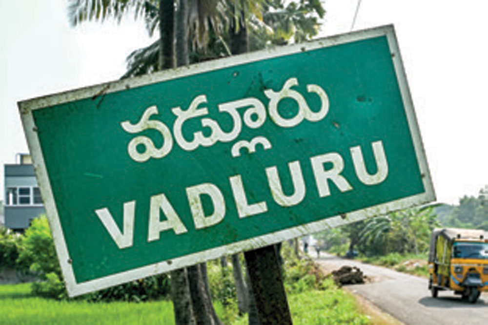 In Vadluru, Usha Vance’s ancestral village in Andhra Pradesh, the celebrations are a reaffirmation that the village itself holds the seed of greatness