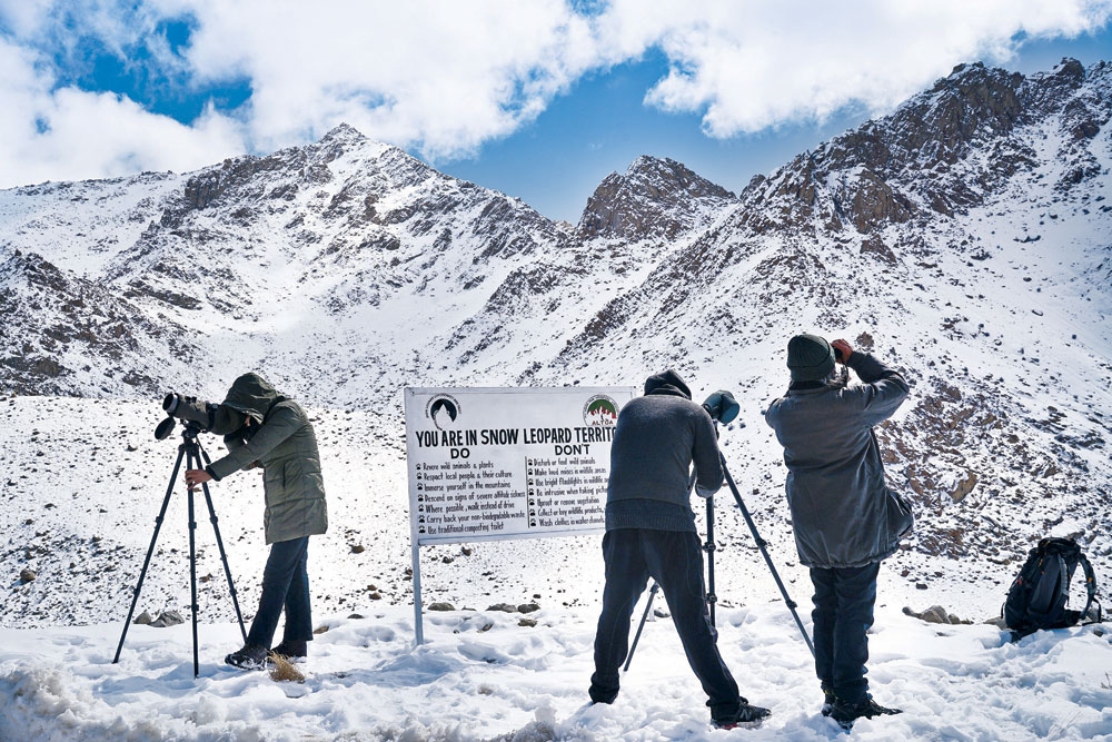 Tourists track snow leopards in Ulley Valley, Ladakh