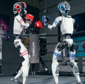 Robo Combat