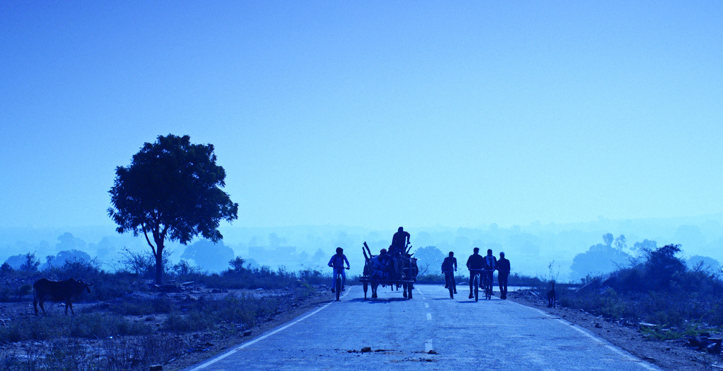 In Search of the Sky by Jitank Singh Gurjar